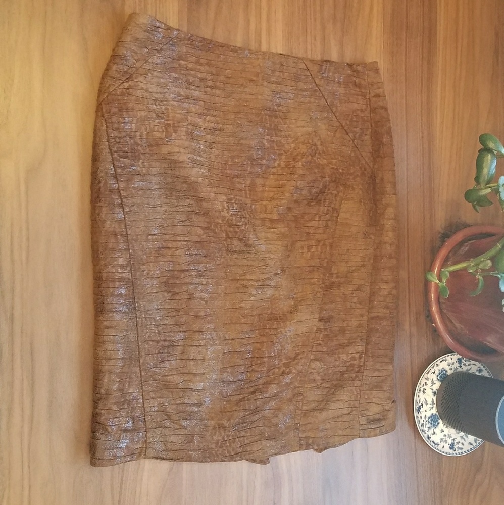 Zara Skirt
